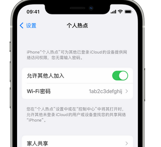 渠县apple服务站点分享iPhone上个人热点丢失了怎么办 