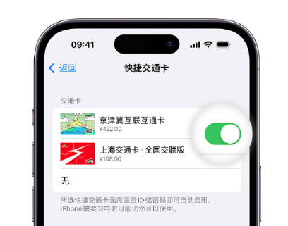 渠县apple维修点分享iPhone上更换Apple Pay快捷交通卡手绘卡面 