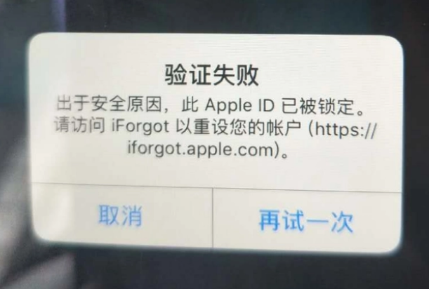 渠县iPhone维修分享iPhone上正常登录或使用AppleID怎么办 