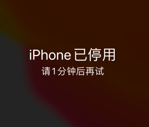 渠县苹果手机维修分享:iPhone 显示“不可用”或“已停用”怎么办？还能保留数据吗？ 