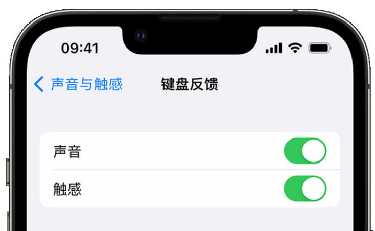 渠县苹果手机维修分享iPhone 14触感键盘使用方法 