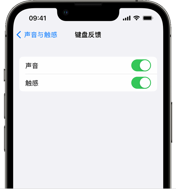 渠县苹果14维修店分享如何在 iPhone 14 机型中使用触感键盘 