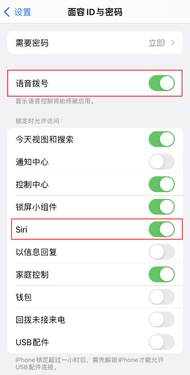 渠县苹果维修网点分享不解锁 iPhone 的情况下通过 Siri 拨打电话的方法 