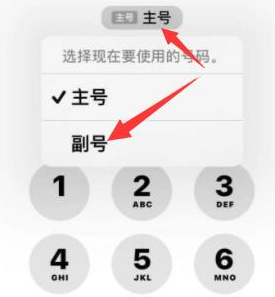 渠县苹果14维修店分享iPhone 14 Pro Max使用副卡打电话的方法 