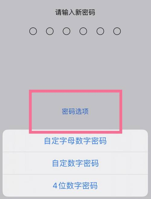 渠县苹果14维修分享iPhone 14plus设置密码的方法 