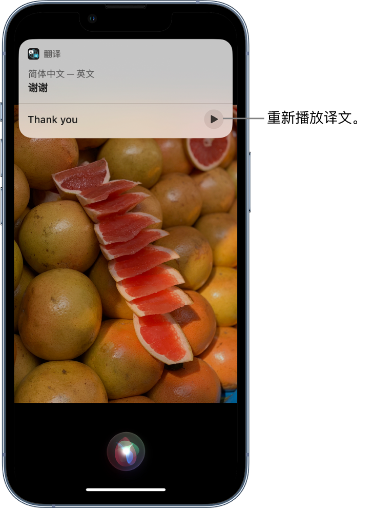 渠县苹果14维修分享 iPhone 14 机型中使用 Siri：了解 Siri 能帮你做什么 