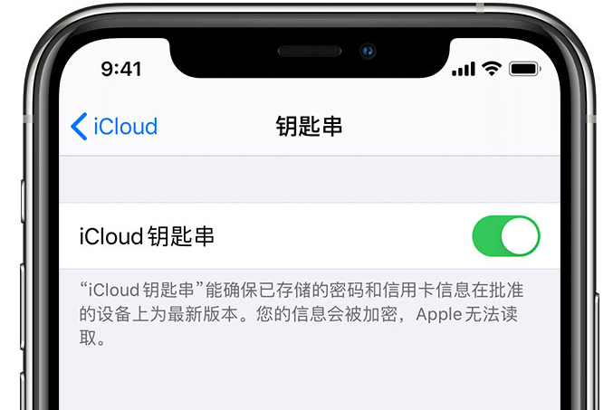 渠县苹果手机维修分享在 iPhone 上开启 iCloud 钥匙串之后会储存哪些信息 