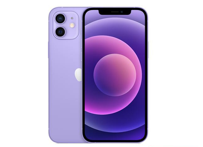 渠县苹果手机维修分享现阶段要不要入手紫色版iPhone12 