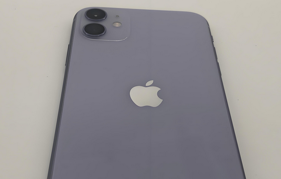 渠县苹果11系统维修分享iPhone11手机系统崩溃无法开机如何解决 